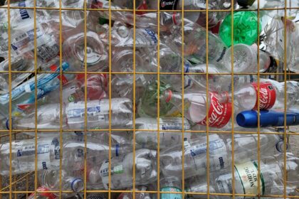 découvrez comment l'économie circulaire transforme notre manière de consommer, de produire et de recycler, en favorisant une utilisation durable des ressources pour un avenir plus écologique.