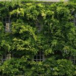 découvrez comment l'économie verte favorise le développement durable, réduit l'impact environnemental et crée de nouvelles opportunités d'emploi tout en protégeant la planète.