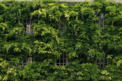 découvrez comment l'économie verte favorise le développement durable, réduit l'impact environnemental et crée de nouvelles opportunités d'emploi tout en protégeant la planète.