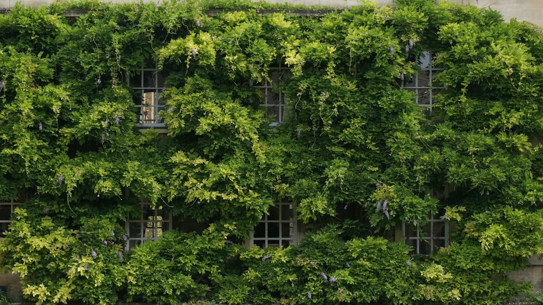 découvrez comment l'économie verte favorise le développement durable, réduit l'impact environnemental et crée de nouvelles opportunités d'emploi tout en protégeant la planète.