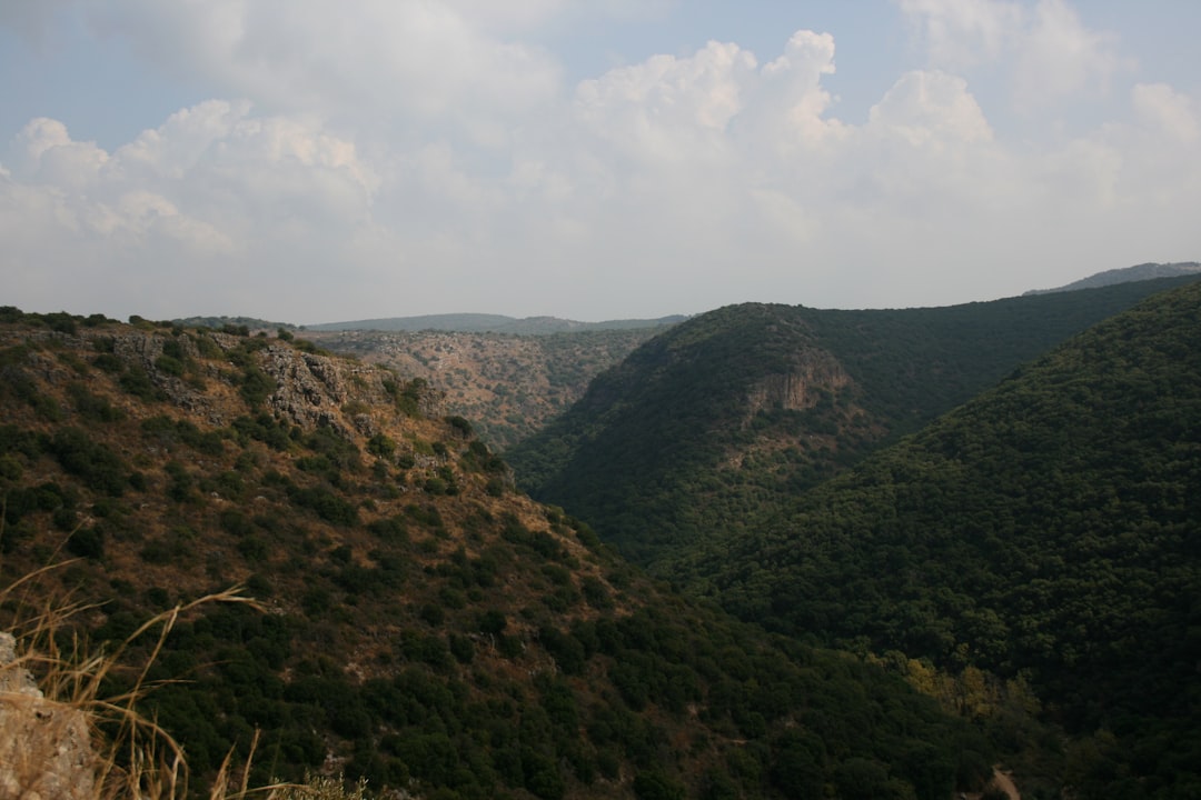 découvrez laâyoune, la plus grande ville du sahara occidental, réputée pour son riche patrimoine culturel, ses paysages désertiques uniques et son accueil chaleureux. explorez ses sites historiques et ses traditions authentiques.