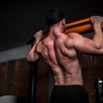 découvrez tout ce qu'il faut savoir sur les muscles : anatomie, fonctions, exercices pour les renforcer et conseils pour maintenir une bonne santé musculaire.