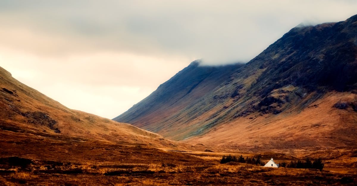 Les bases essentielles pour bien démarrer