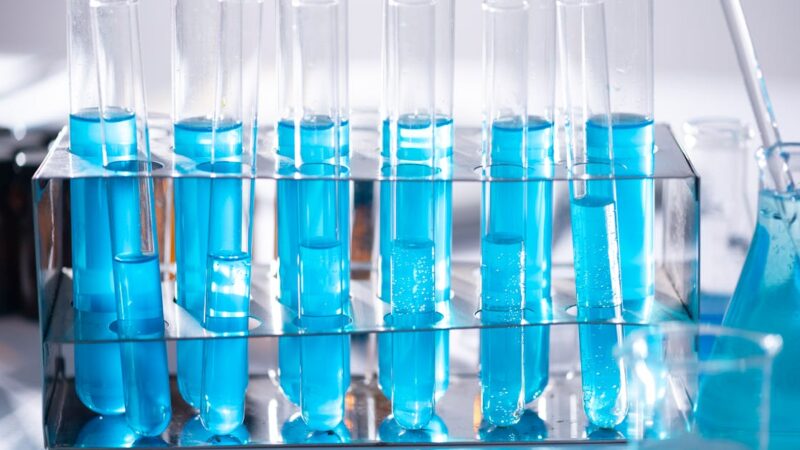 Une femme pour mon fils d’ali ghalem : analyse et contexte culturel