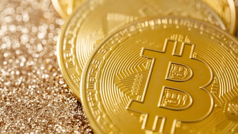 Quels secteurs économiques résistent le mieux à la crise ?