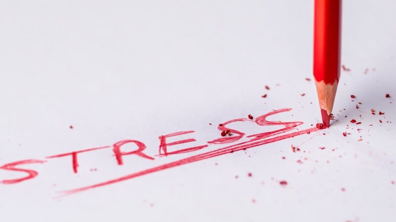 Le roi interpelle sur les défis majeurs de l’enseignement au Maroc