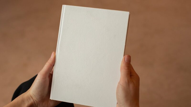 Découvrir les œuvres et l&rsquo;univers de lenoir, auteur passionné