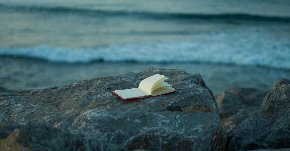 Le maroc, une source d’inspiration inépuisable pour de nombreux artistes