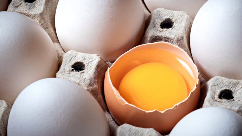 Pourquoi l&rsquo;open source séduit de plus en plus d&rsquo;entreprises : avantages et opportunités