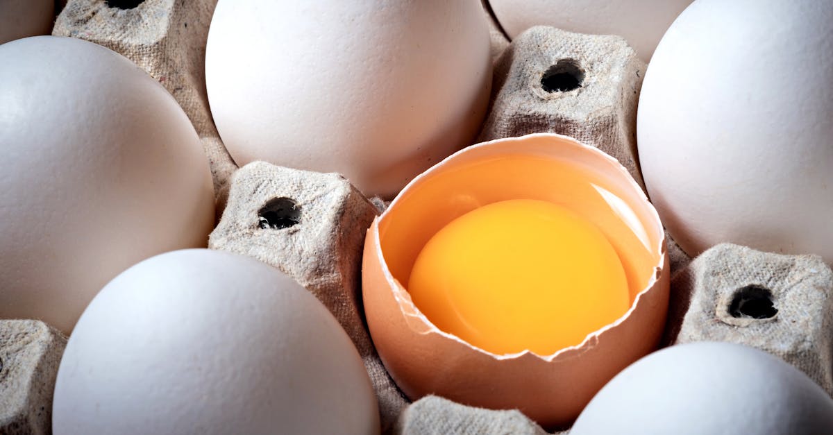 Pourquoi l’open source séduit de plus en plus d’entreprises : avantages et opportunités